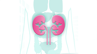 Renal Benefits